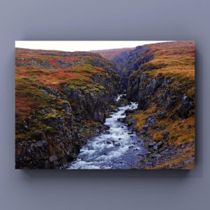 70856405_10156177199746260_6431269237163032576_o