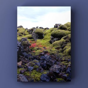 71696586_10156175418616260_8123460122421755904_o