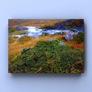 71784969_10156177198526260_8966416354127118336_o